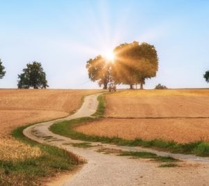 ein unbefestigter Feldweg läuft dem Sonnenuntergang entgegen